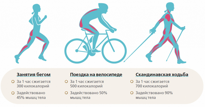 Ходьба с палками по-скандинавски!